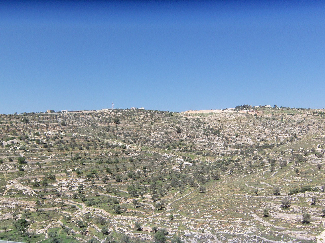 israel hillside landscape free photo