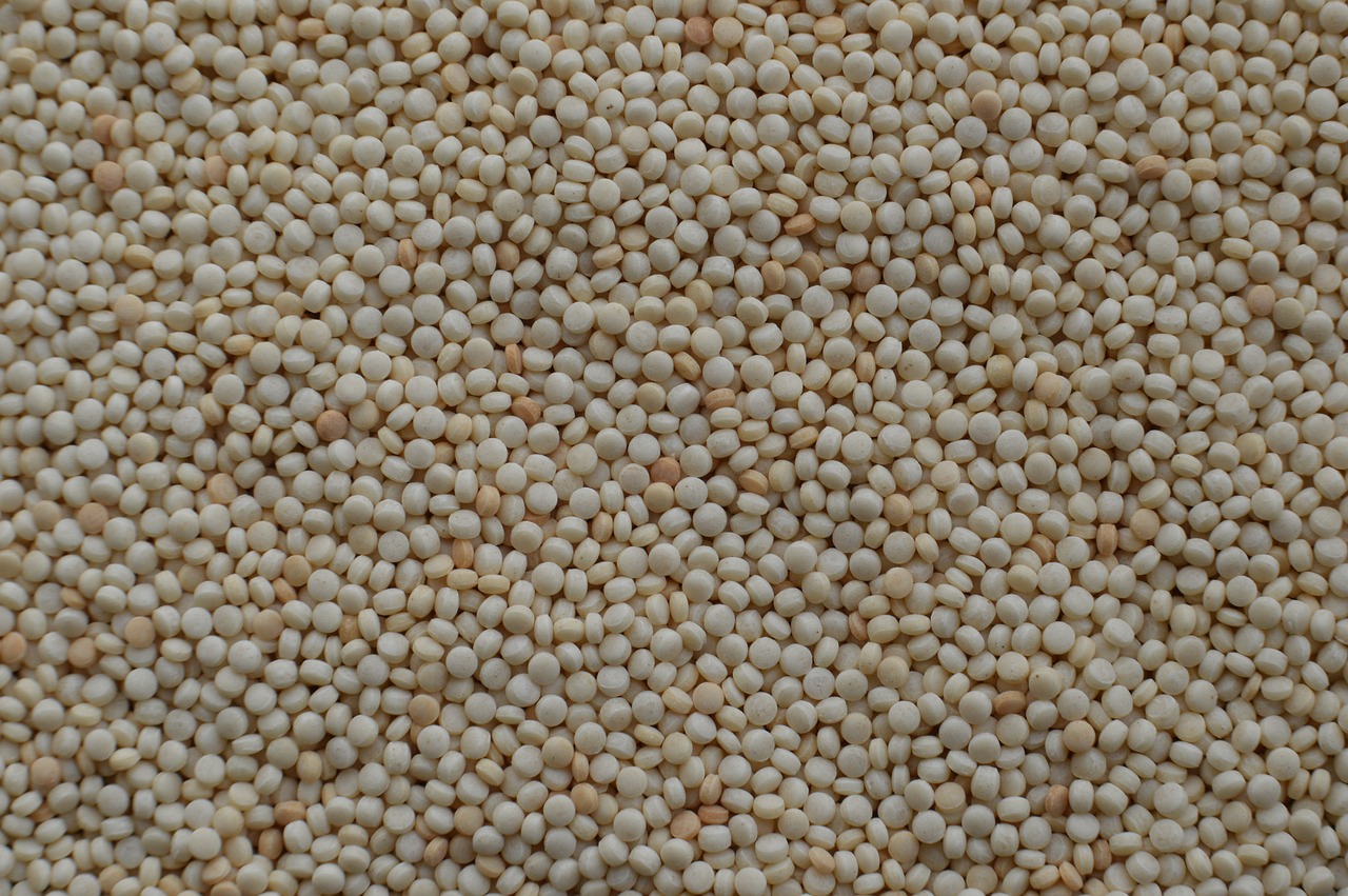 israeli couscous  pearled couscous  couscous texture free photo