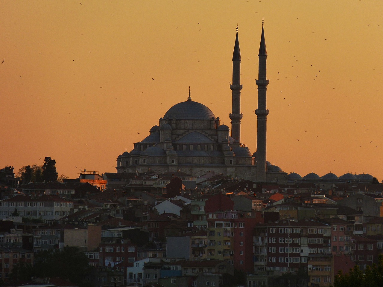 istanbul turkey bosphorus free photo