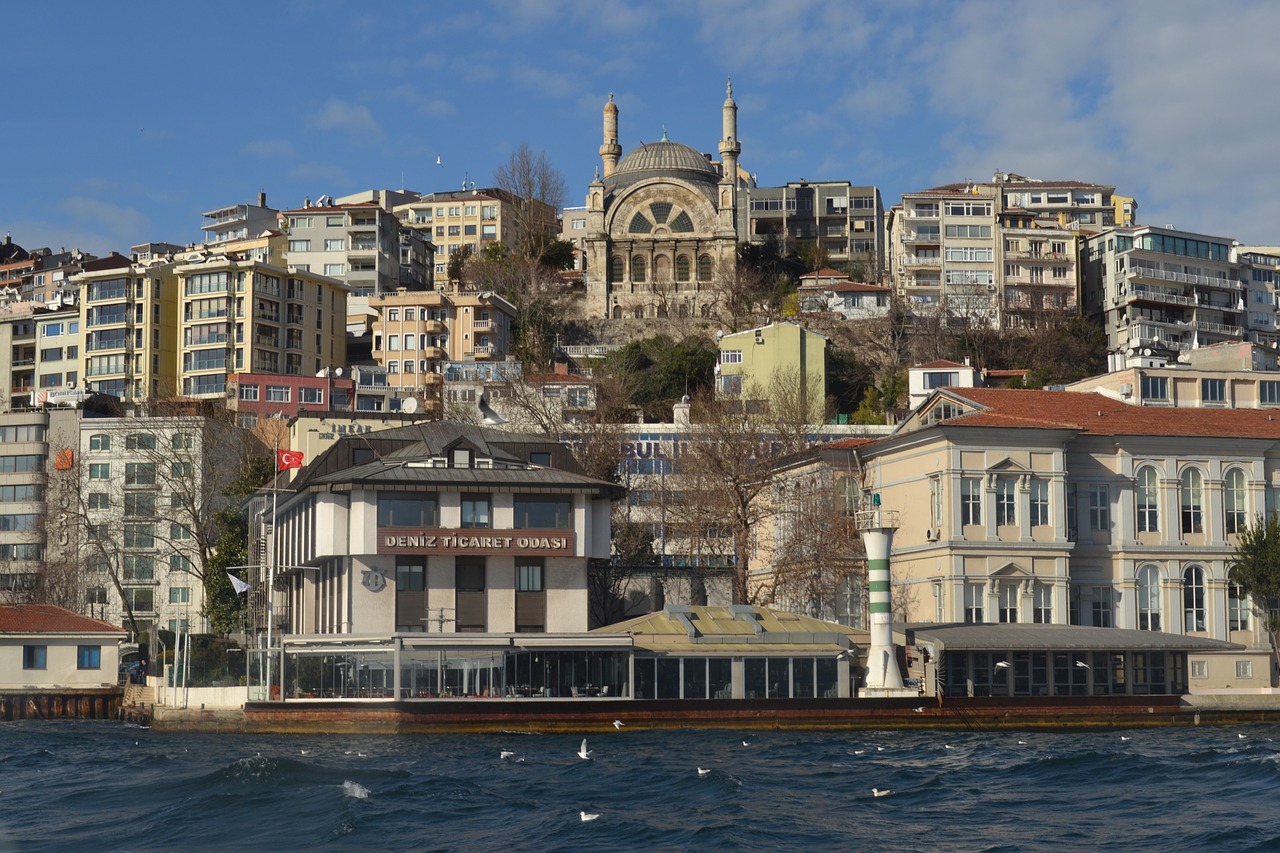 istanbul bosphorus strait free photo