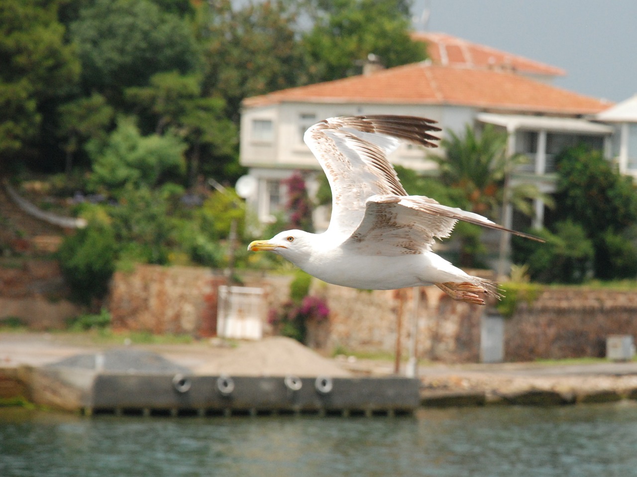 istanbul sea travel free photo