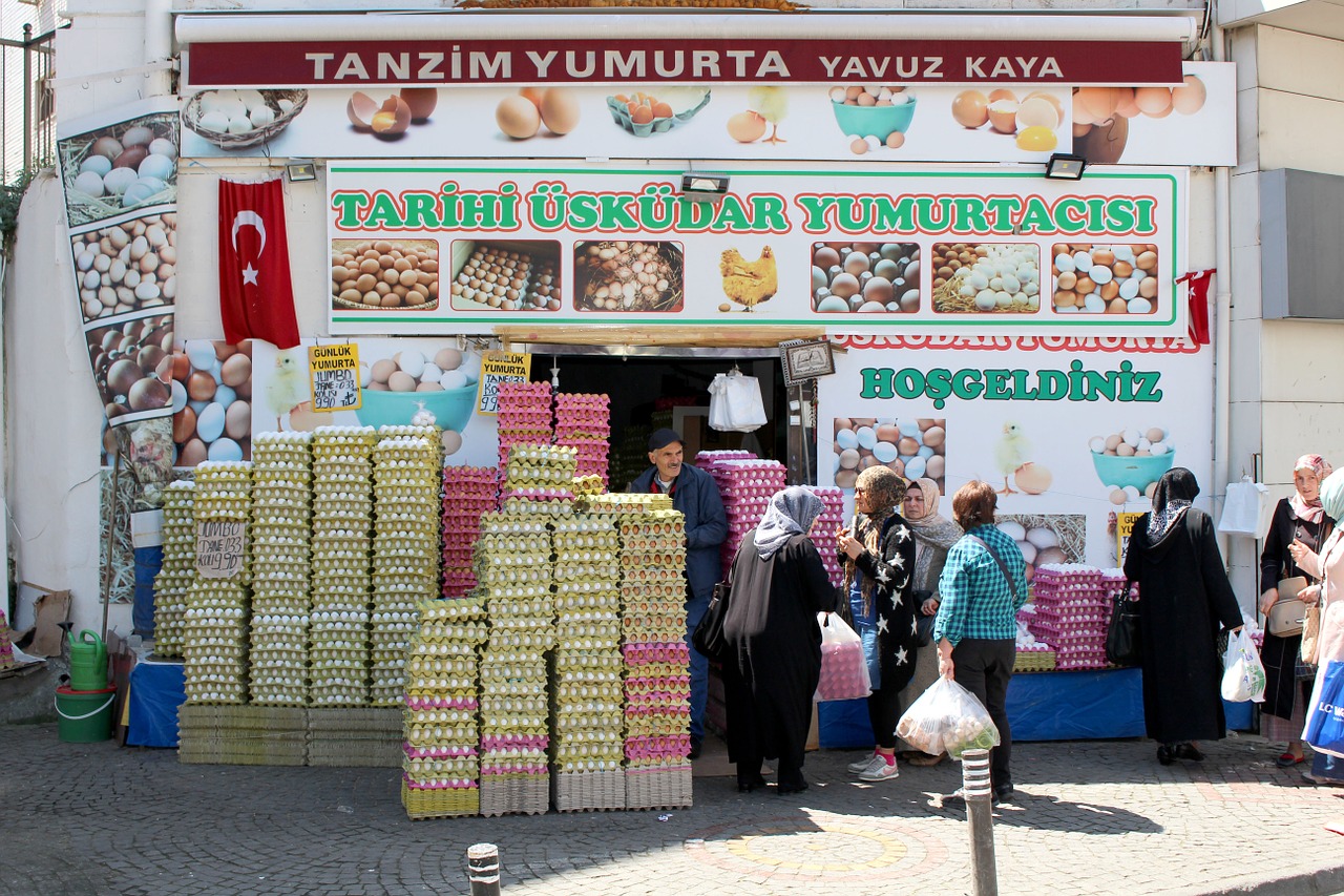 istanbul turkey üsküdar free photo