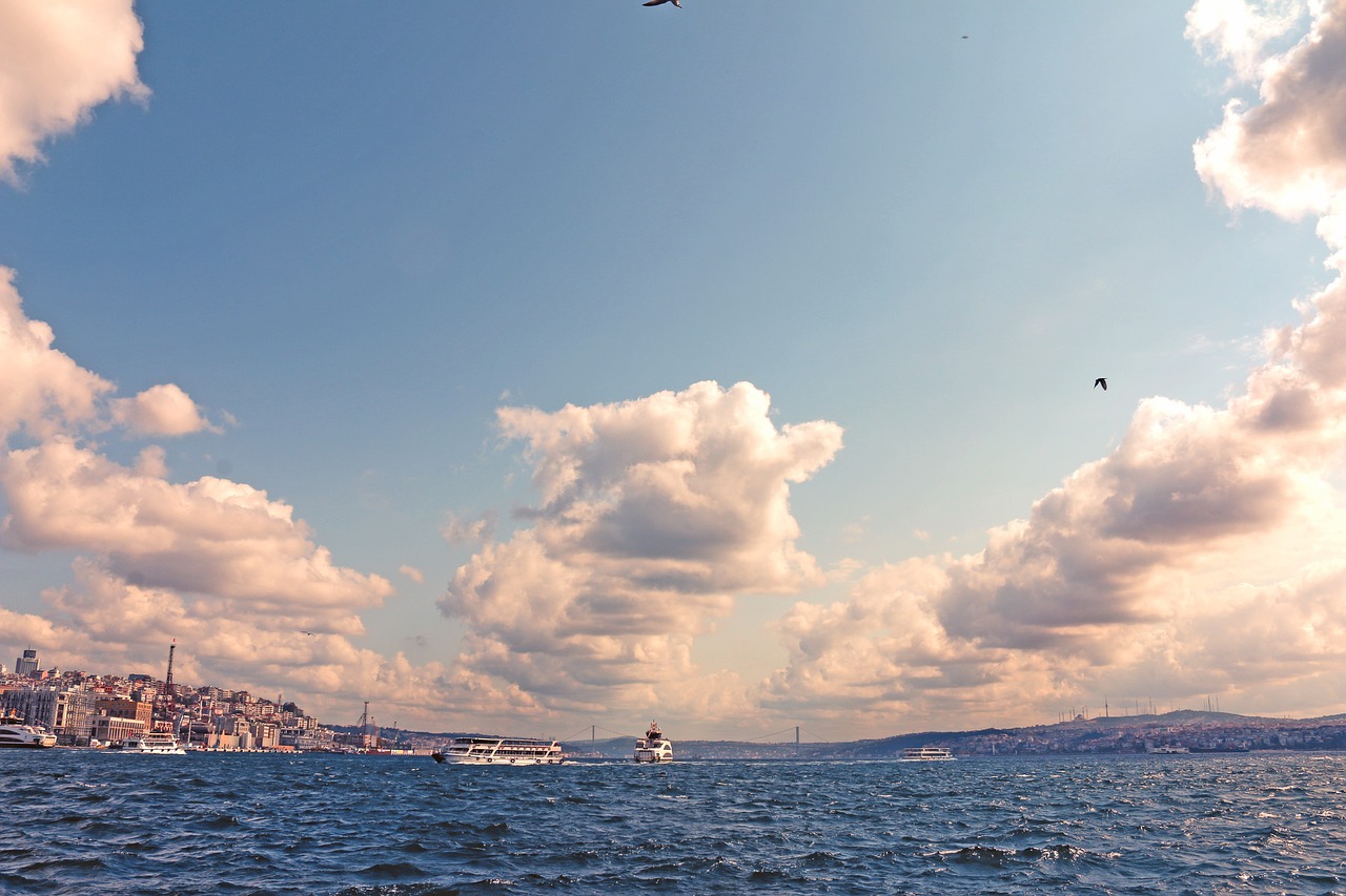 istanbul bosphorus v free photo