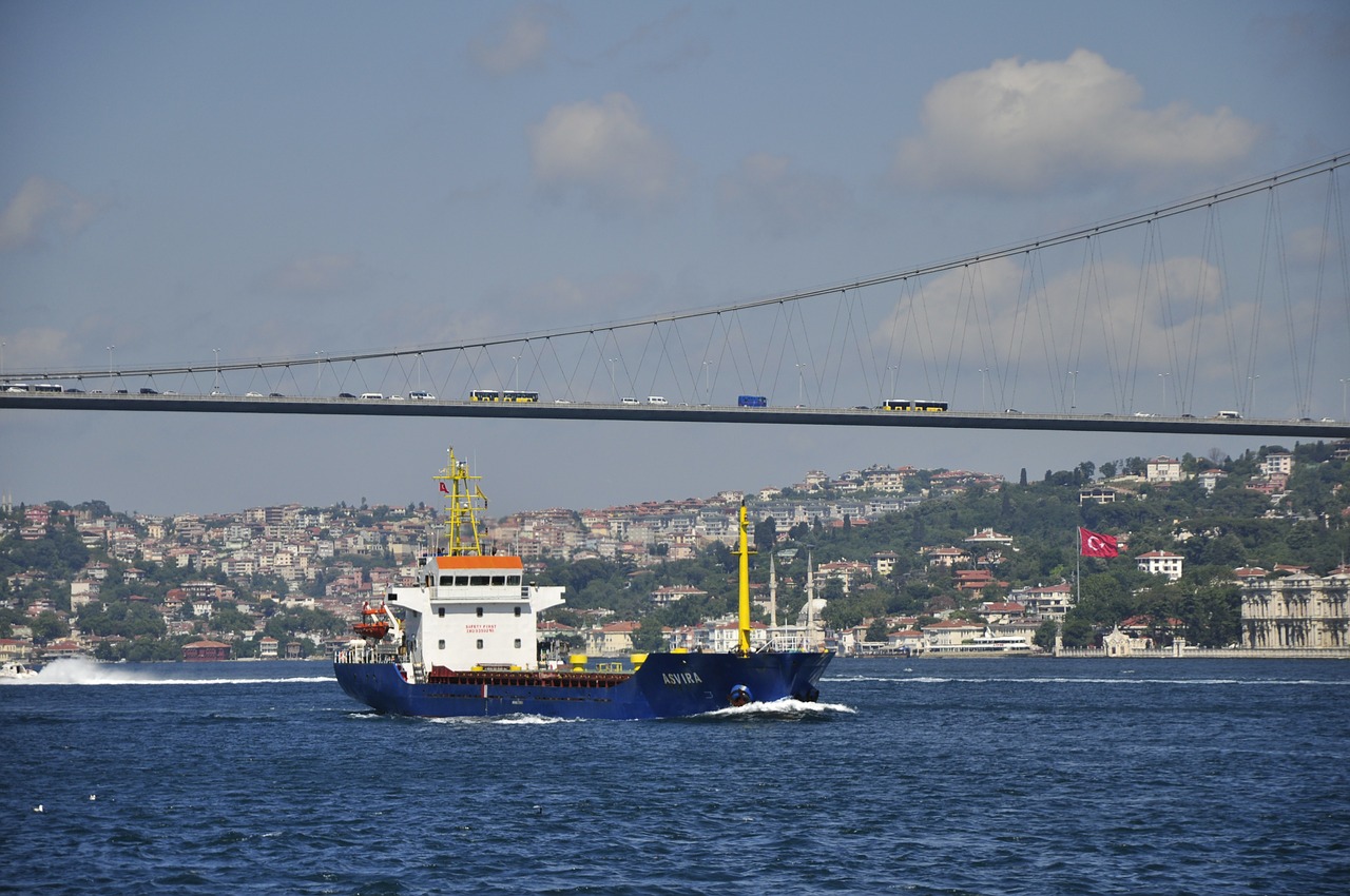 istanbul strait bridge free photo