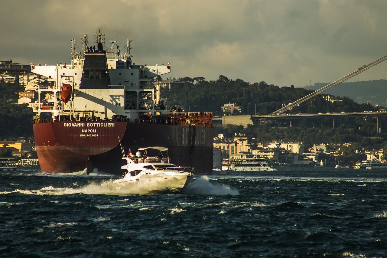 istanbul  bosphorus  ship free photo