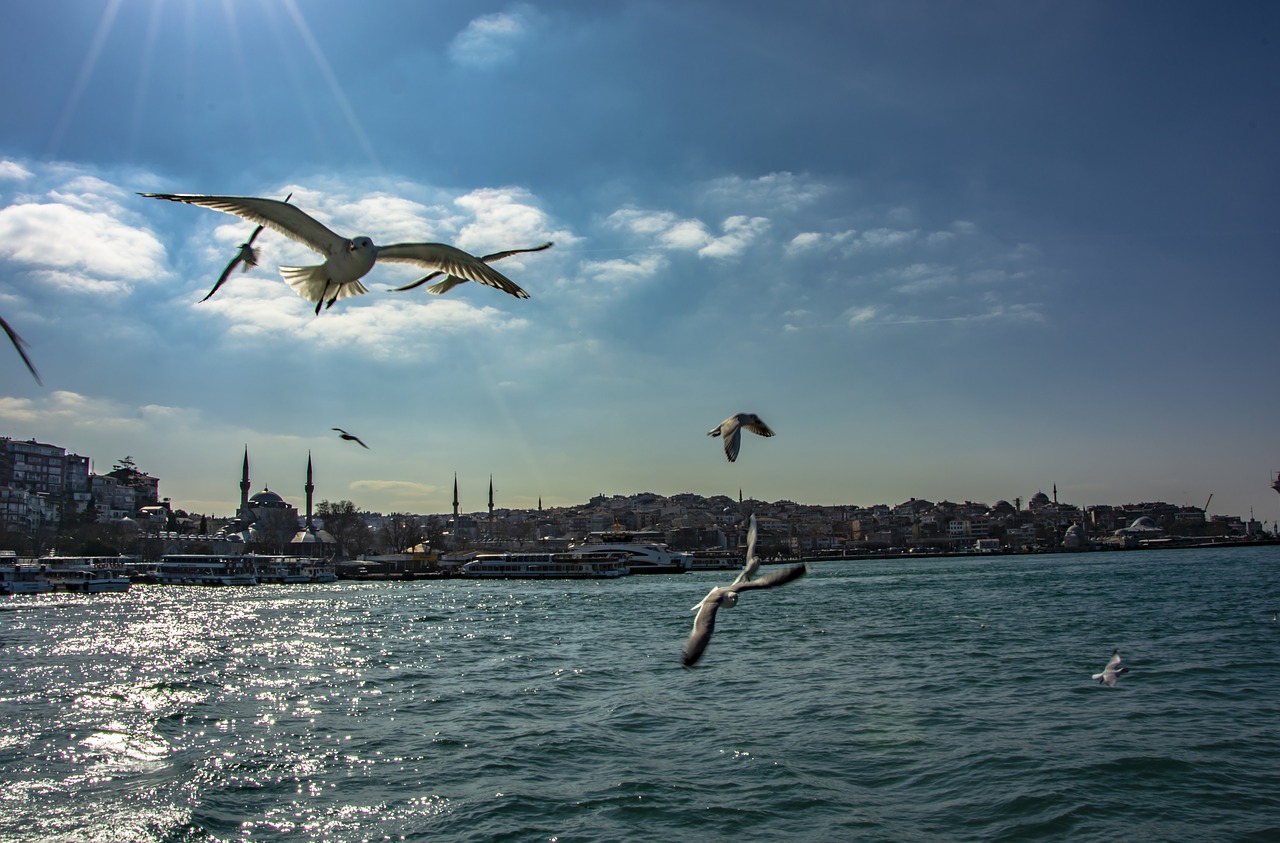 istanbul  landscape  turkey free photo