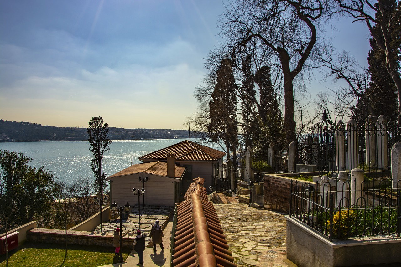 istanbul  throat  cami free photo