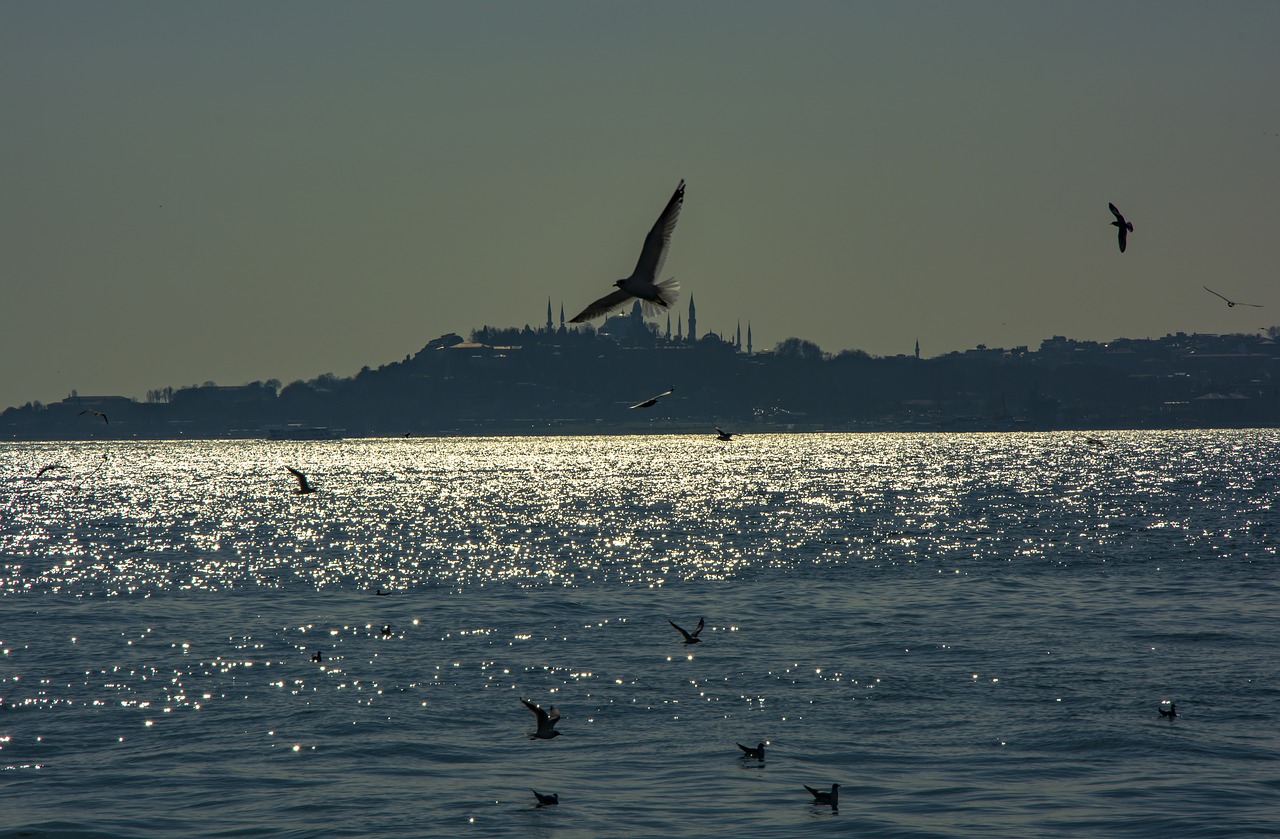 istanbul  marine  sky free photo