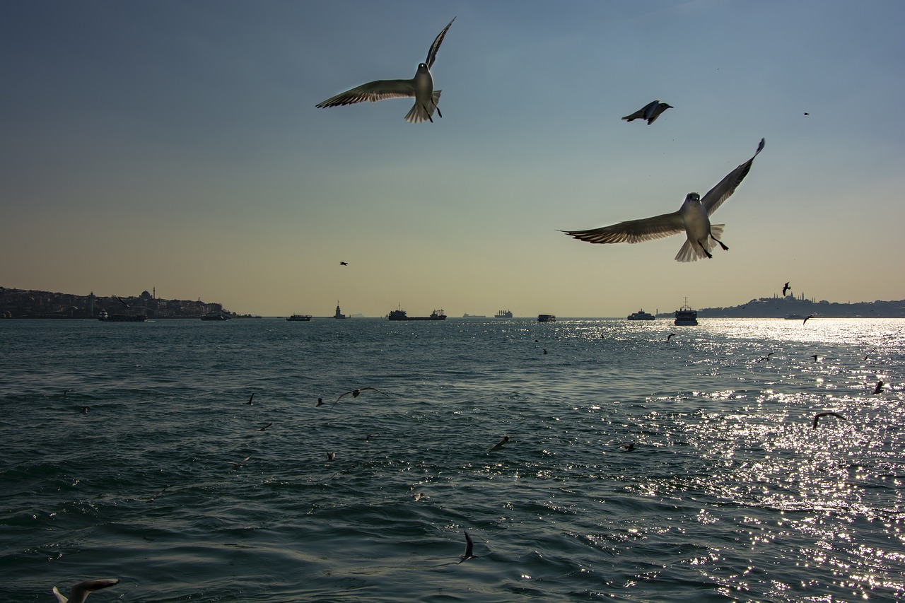 istanbul  marine  sky free photo