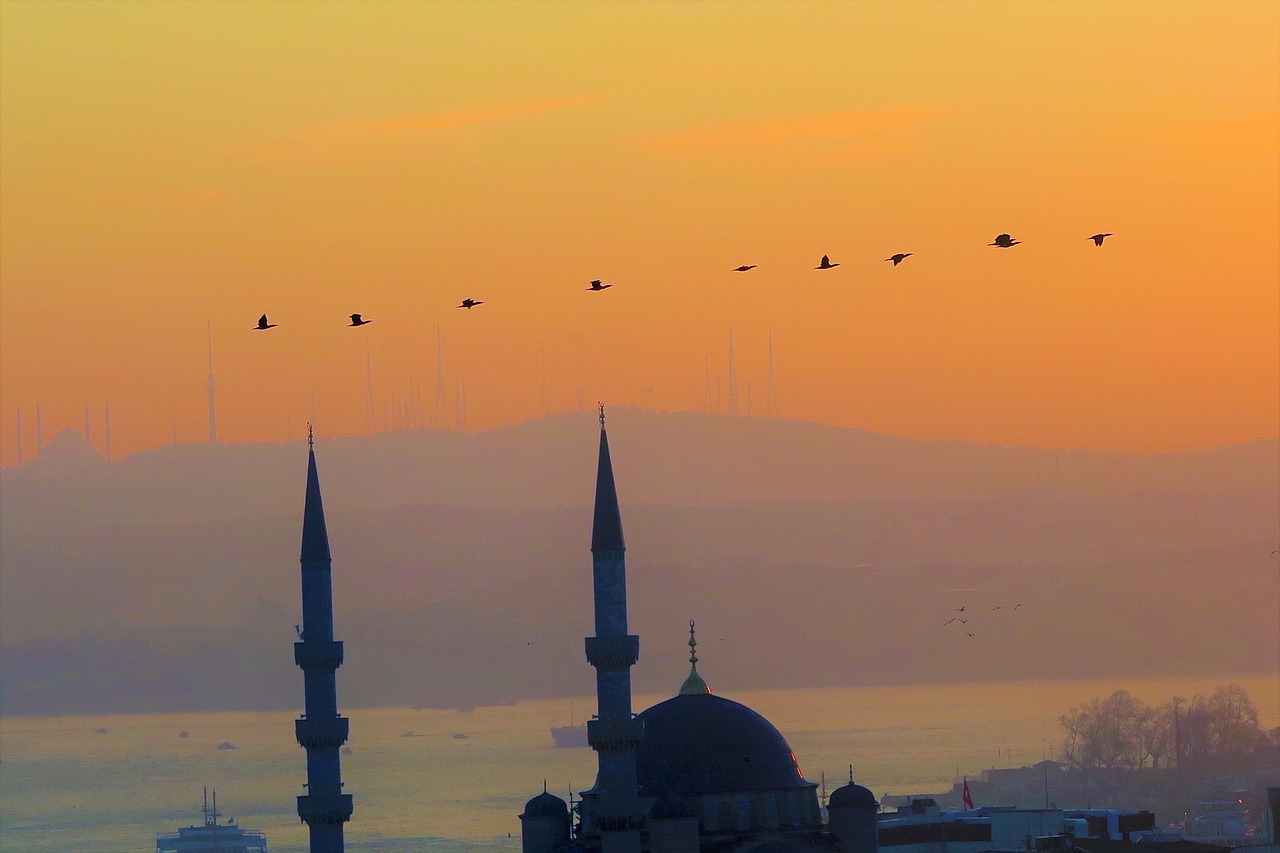 istanbul  cami  minaret free photo