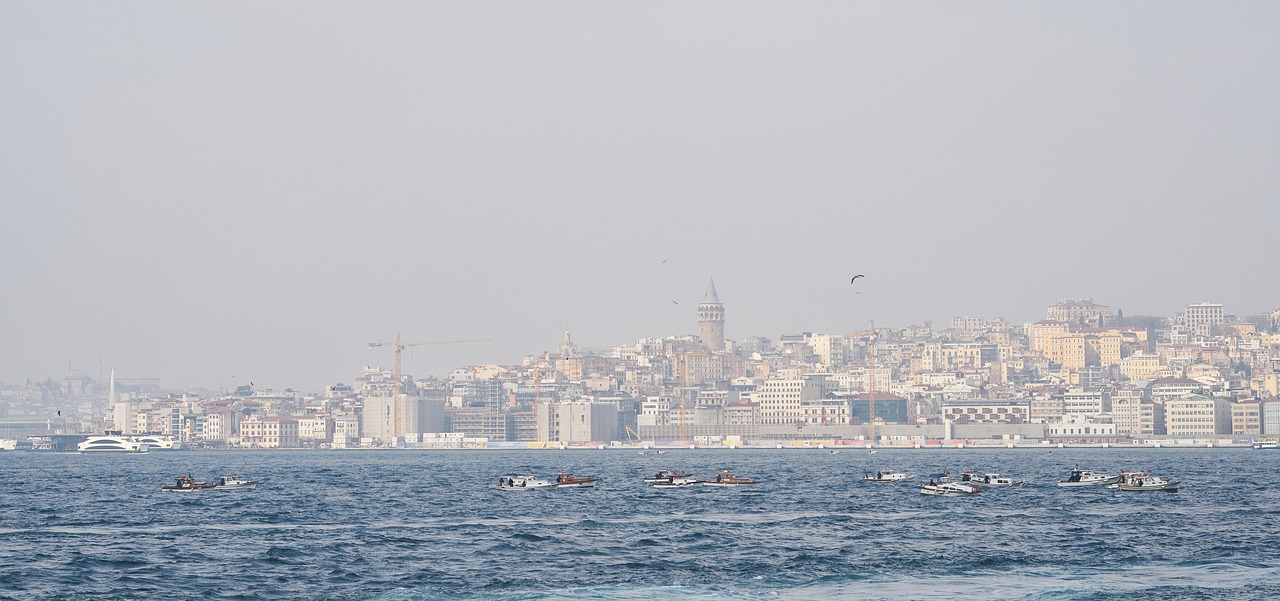 istanbul  turkey  throat free photo