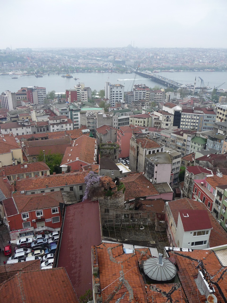 istanbul travel turkey free photo