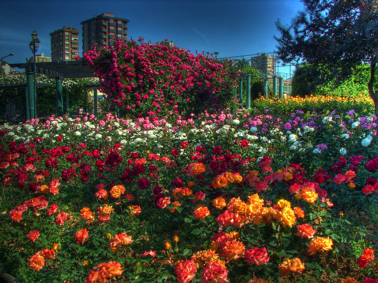 istanbul landscape flowers free photo