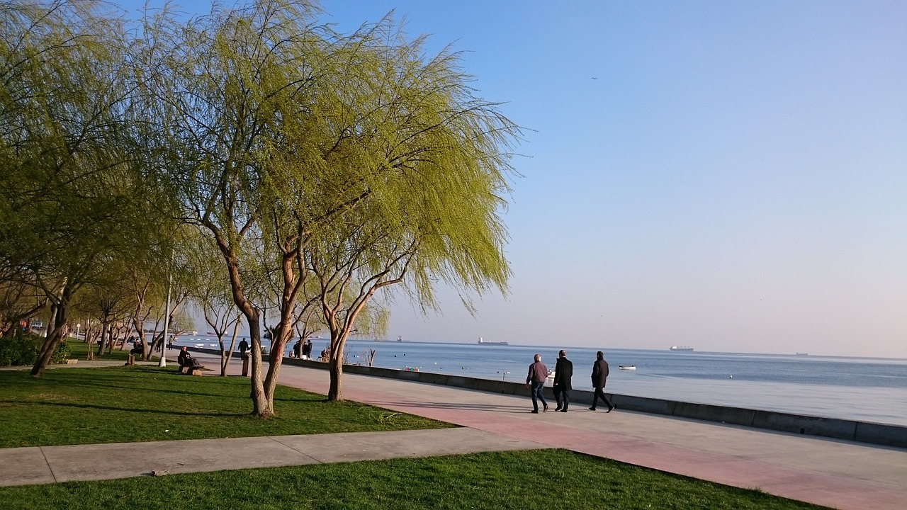 istanbul eagle beach free photo