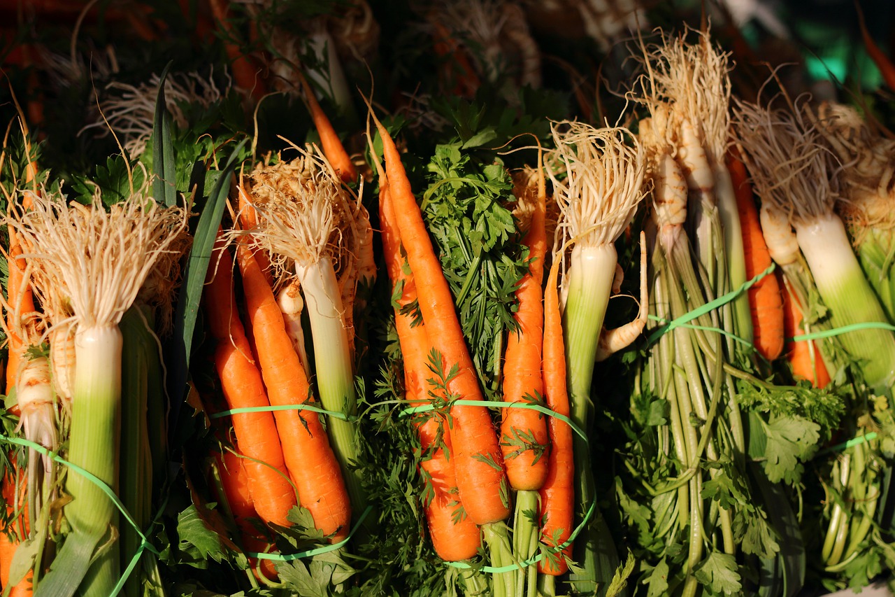 italian  vegetables  carrots free photo