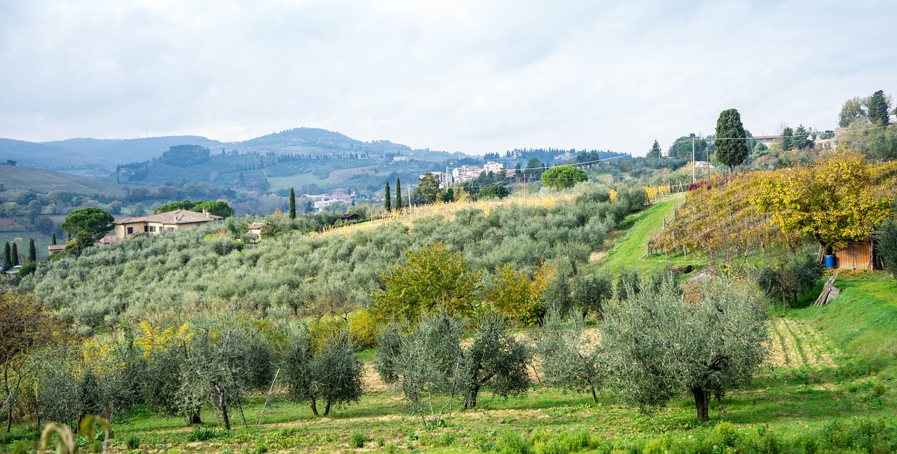 italy tuscany countryside free photo