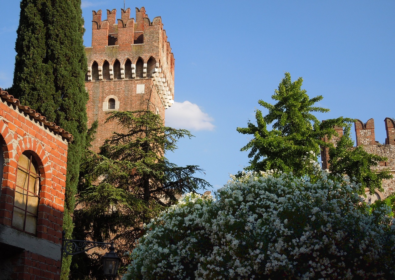 italy castle rhododendron free photo