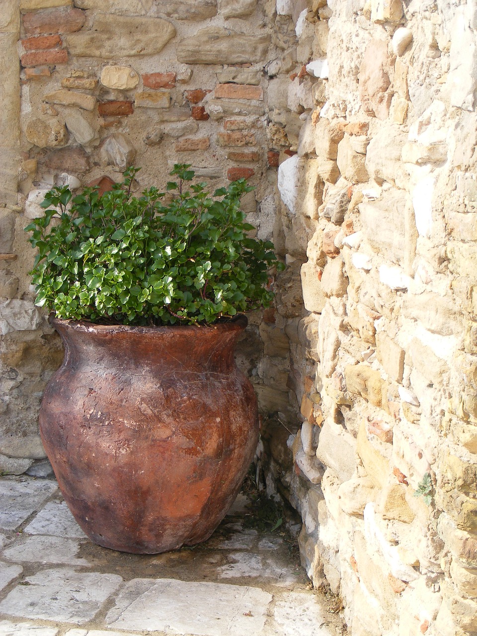 italy abruzzo house free photo