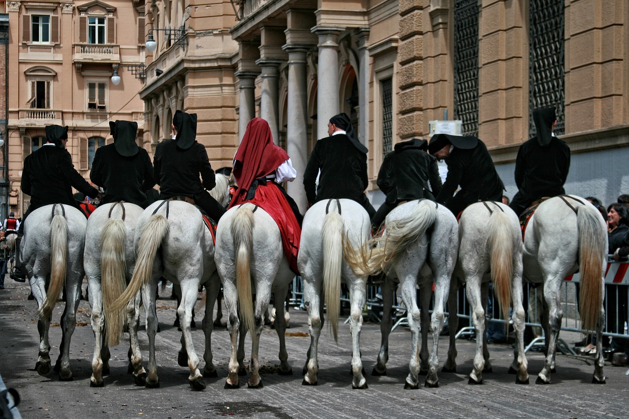 italy sardinia cagliari free photo