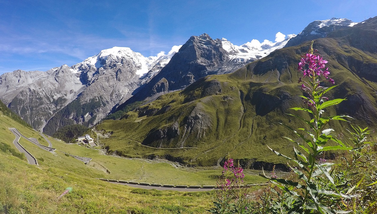 italy alpine stelvio yoke free photo