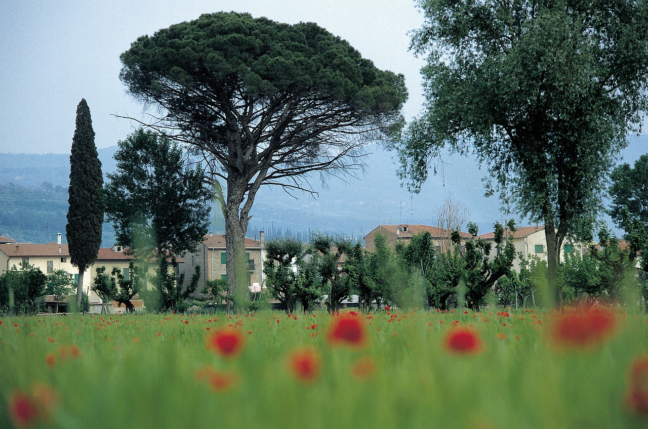 italy tuscany homes free photo
