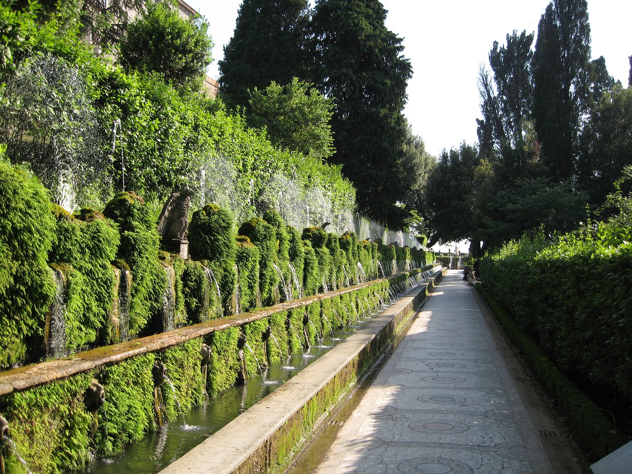 italy rome landmark free photo