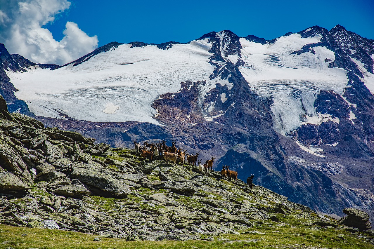 italy mountains snow free photo