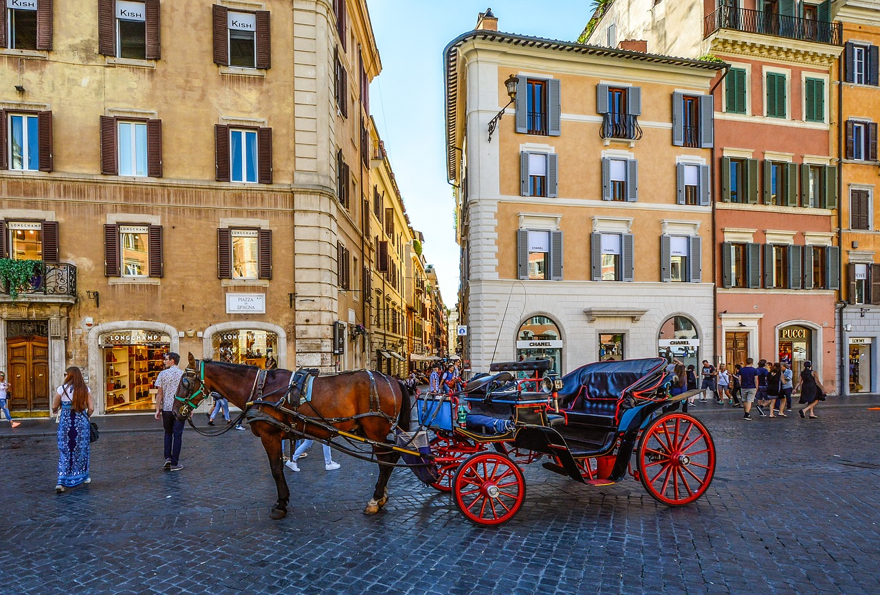 italy rome horse free photo