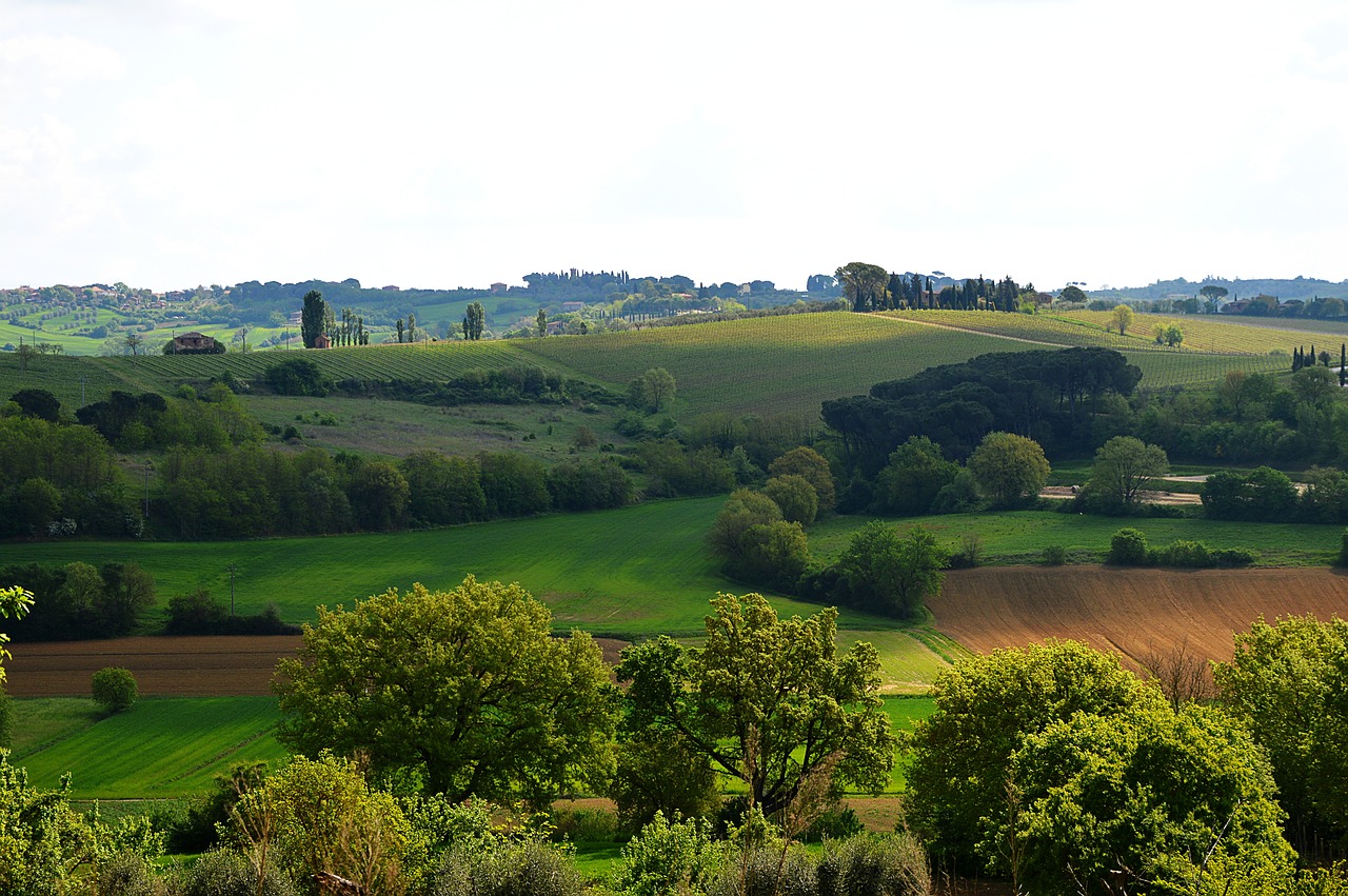 italy toscana landscape free photo