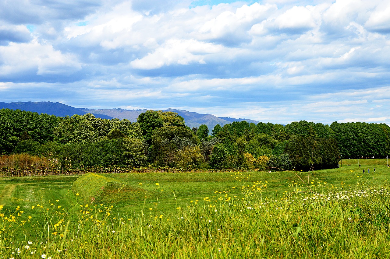 italy landscape tuscany free photo