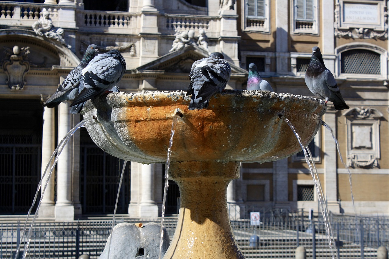 italy rome fountain free photo