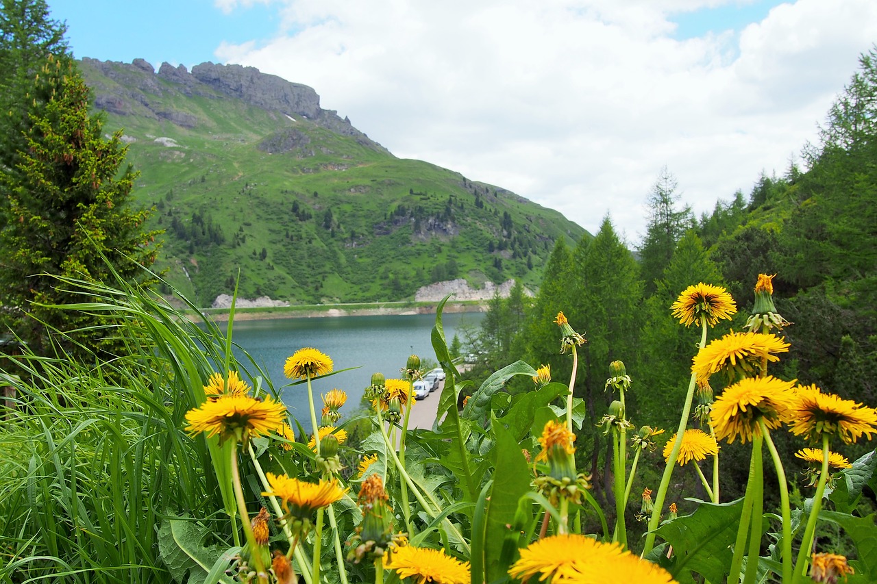 italy  pass  nature free photo