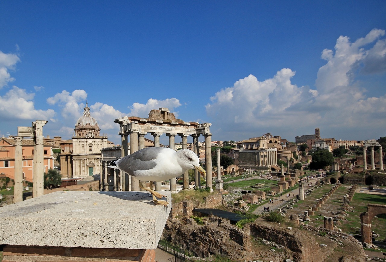 italy  rome  the roman forum free photo