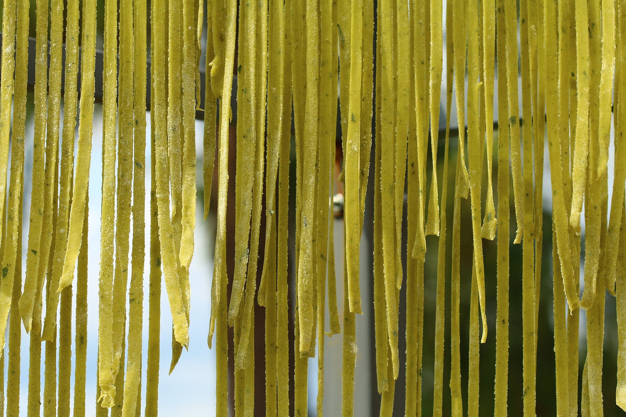 italy  basil pasta  air dry free photo