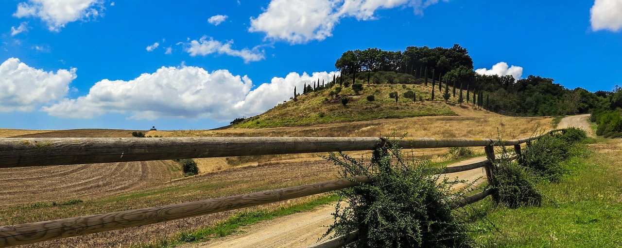 italy tuscany lajatico free photo