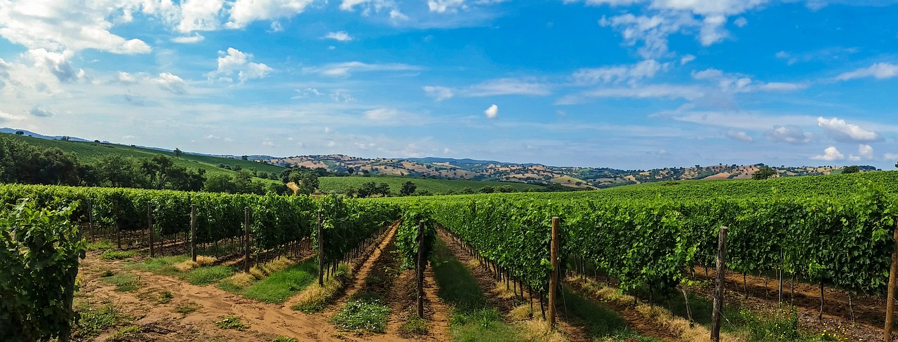 italy tuscany landscape free photo