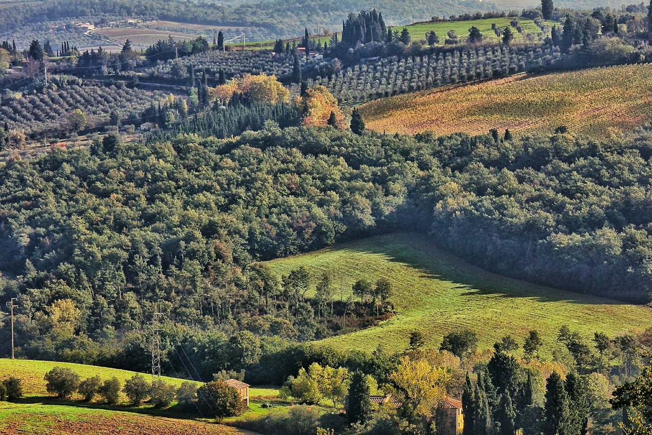 italy landscape tuscany free photo