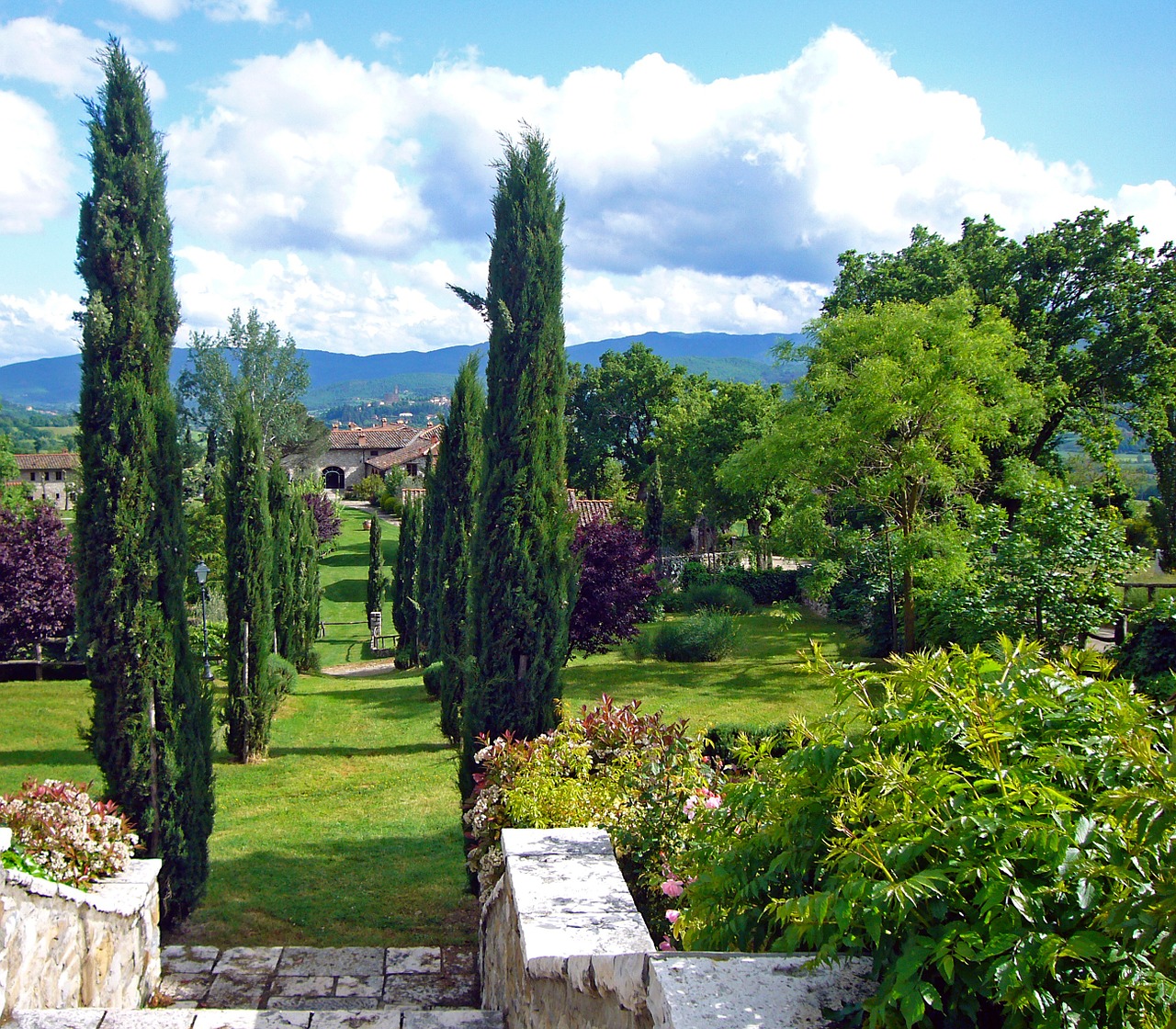 italy tuscany cypress free photo