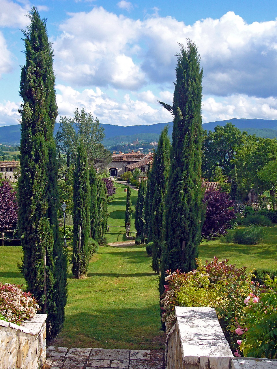 italy tuscany avenue free photo