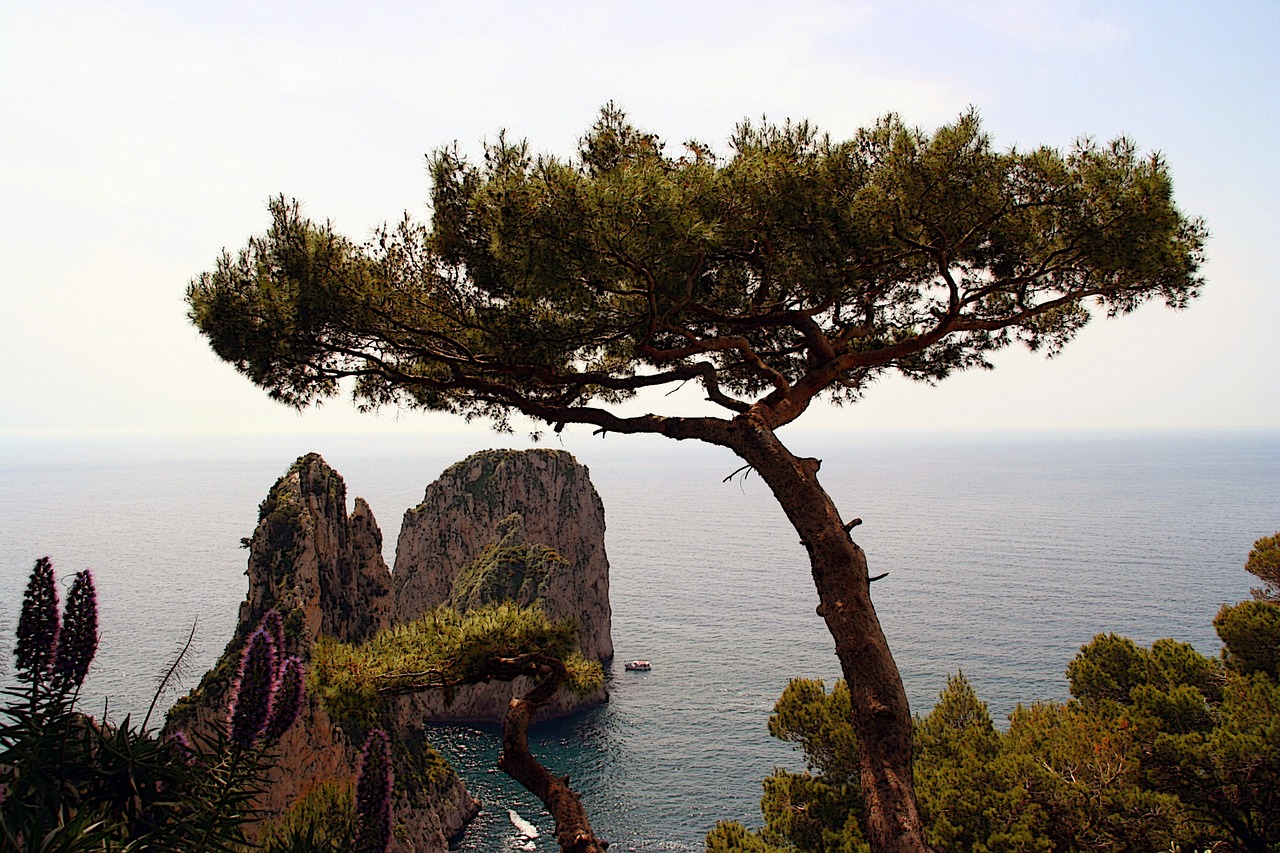 italy capri island free photo