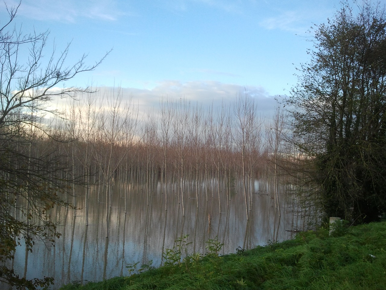 italy po river delta free photo