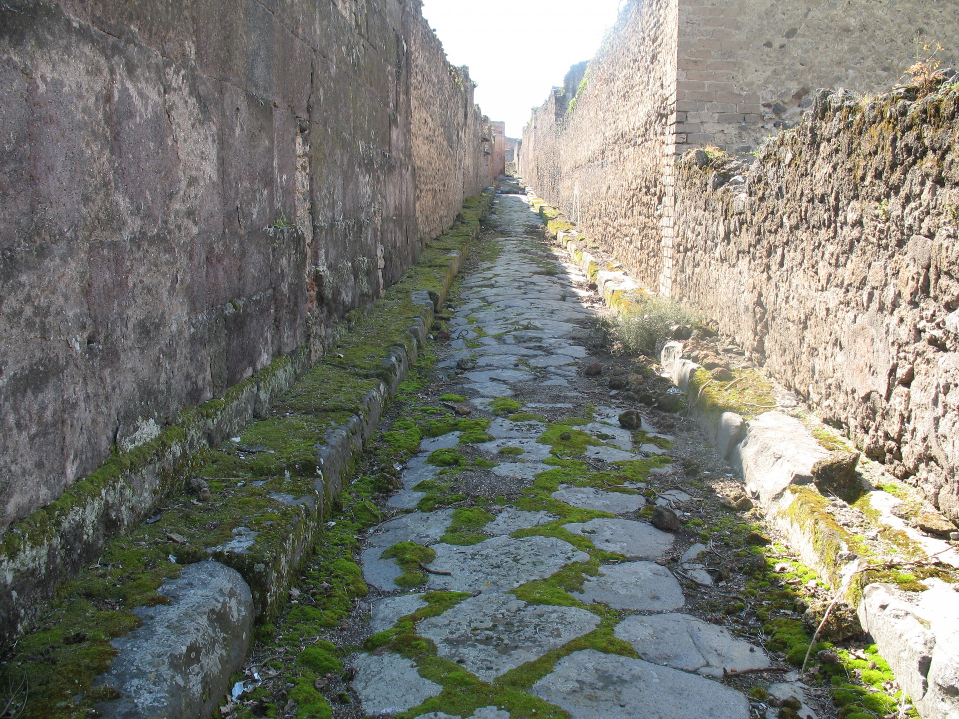 italy pompeii street free photo
