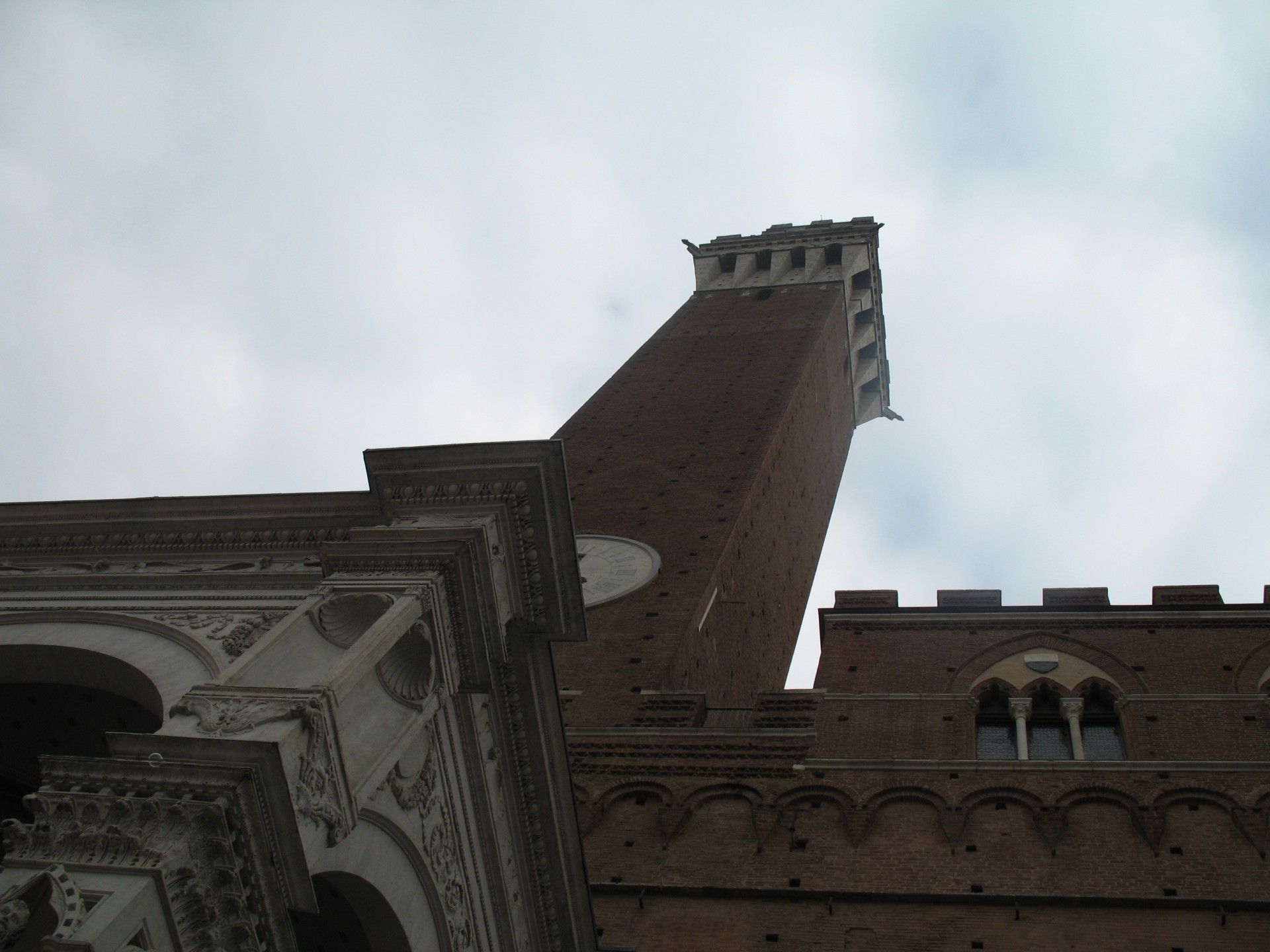 italy siena tower free photo