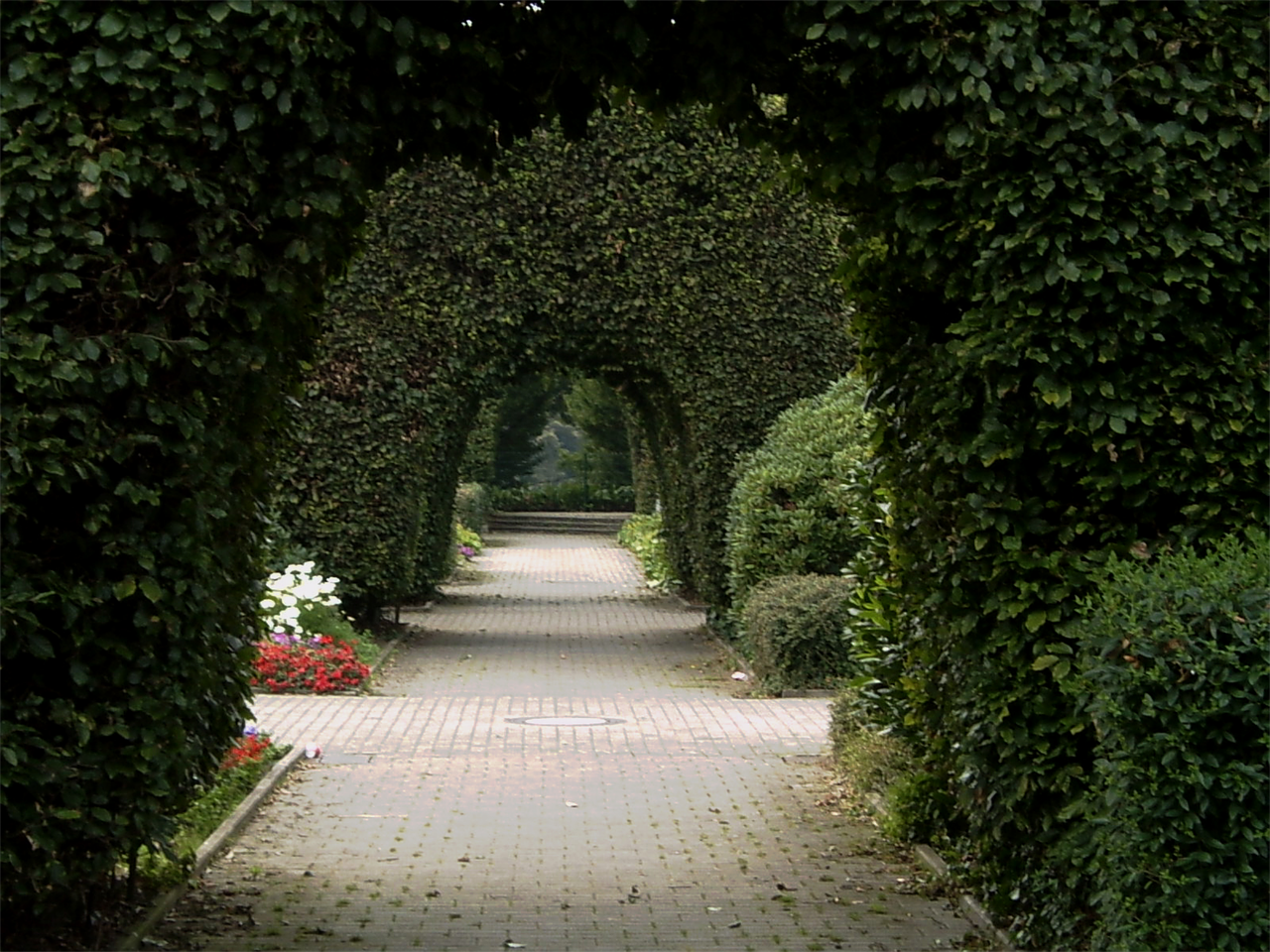 ivy arch park free photo