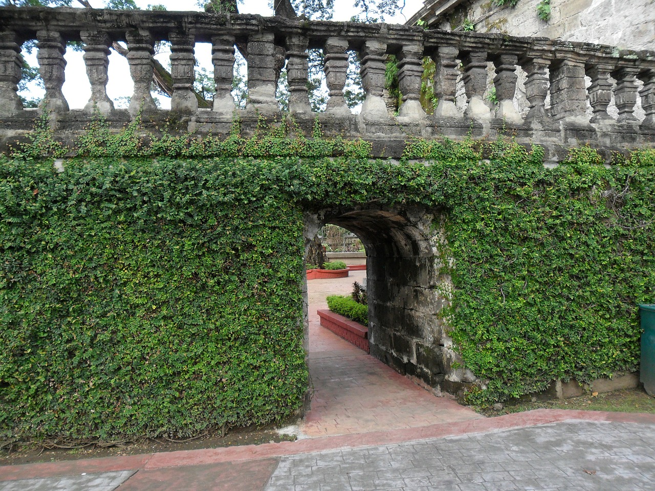 ivy covered ivy gate free photo