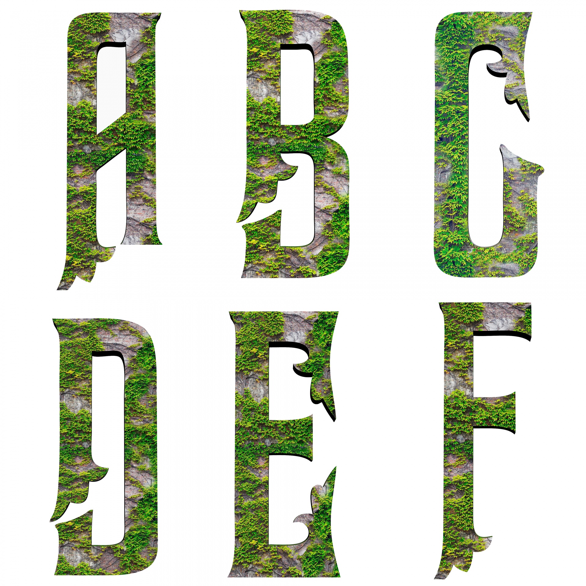 fonts alphabets green free photo