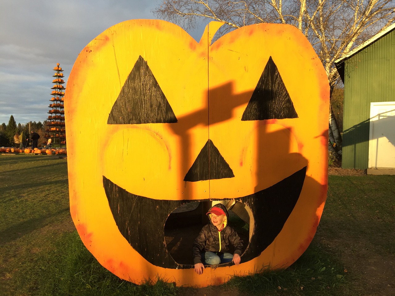 jack o lantern halloween pumpkin free photo