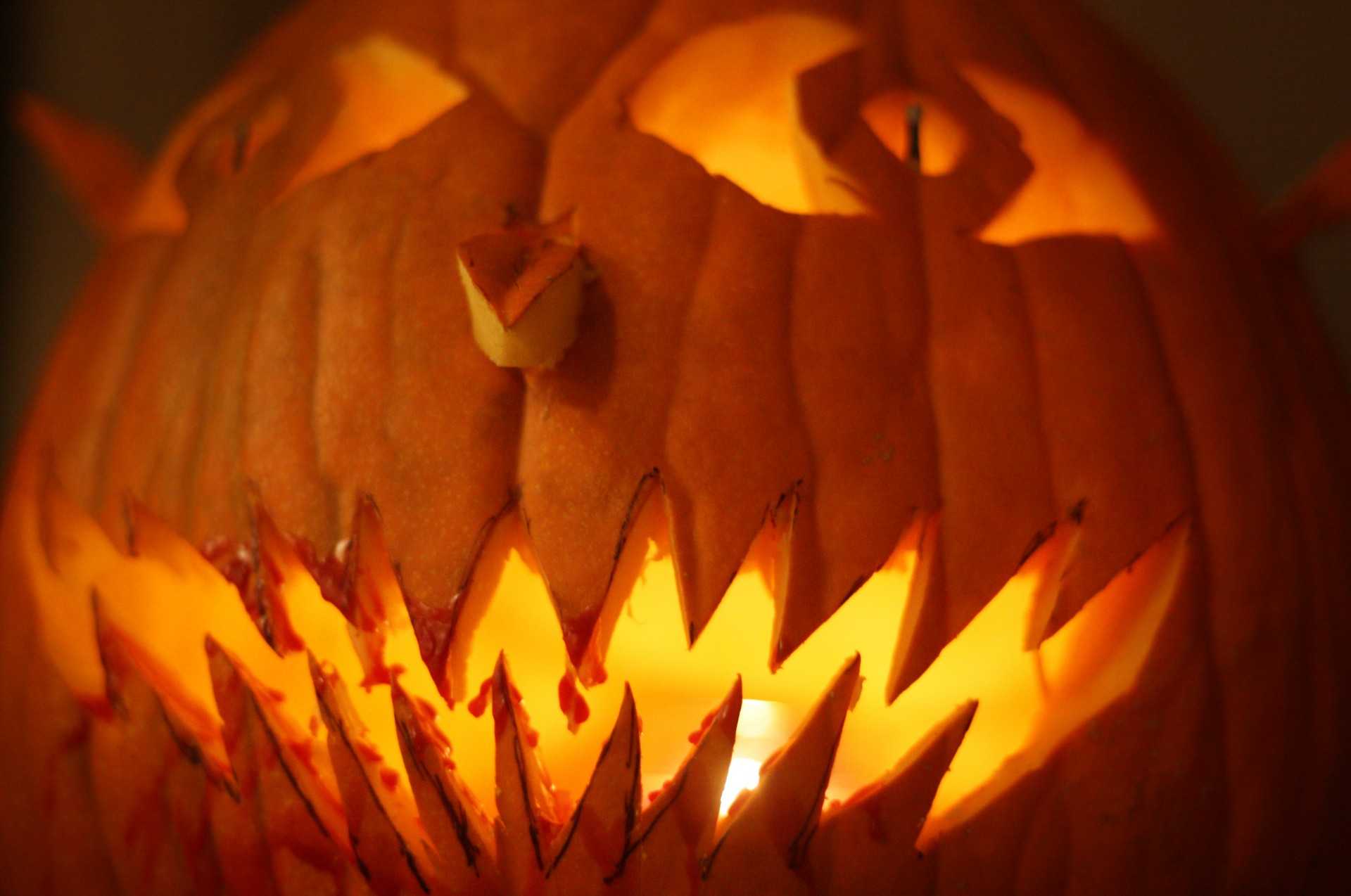 jack o' lantern pumpkin close up free photo