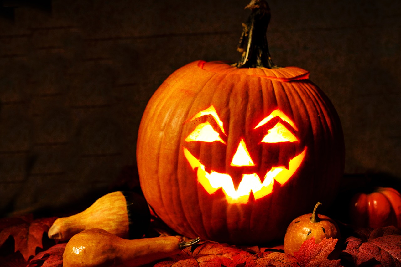 jack-o-lantern  lit  pumpkin free photo