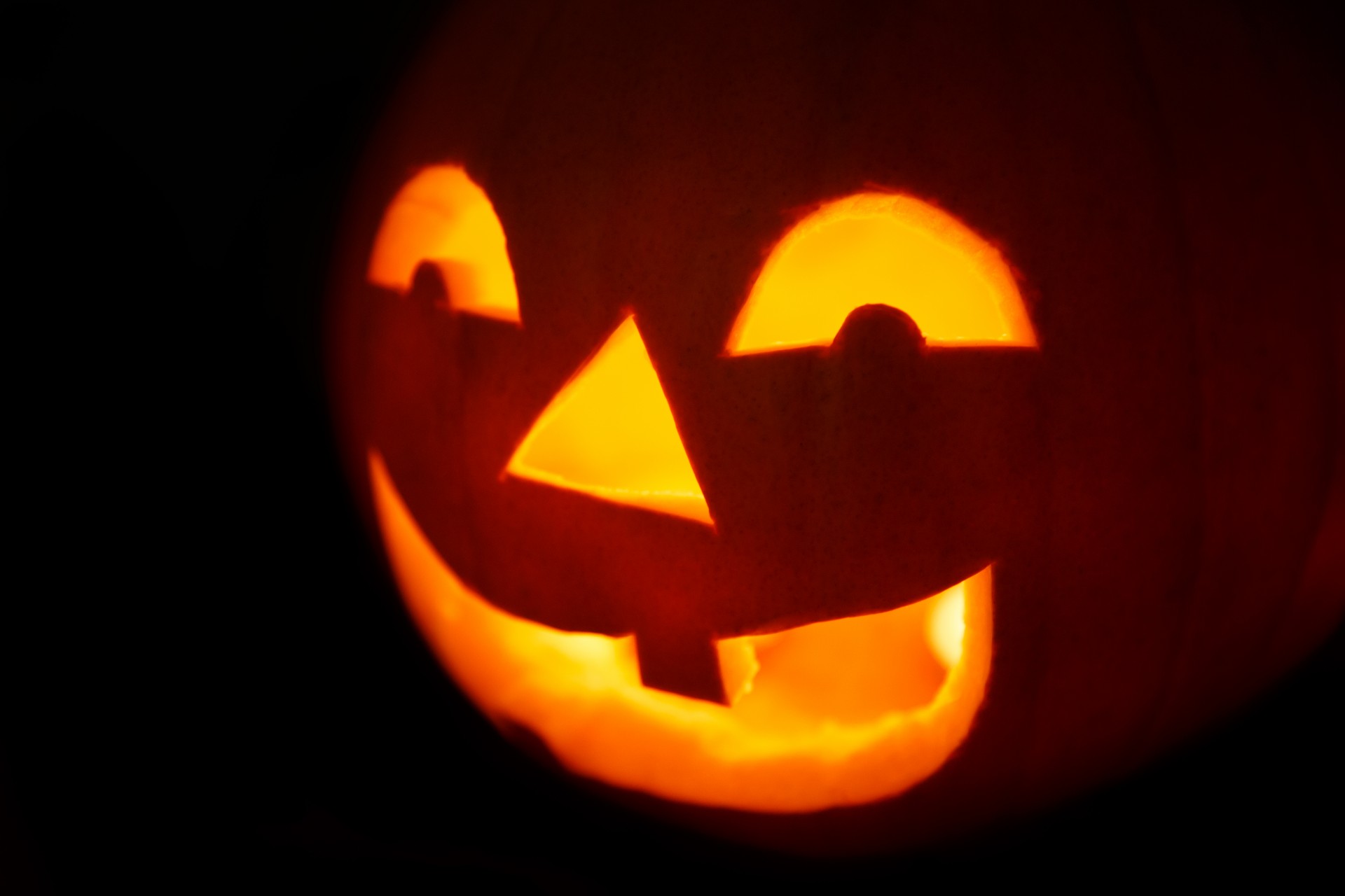 halloween pumpkin black free photo
